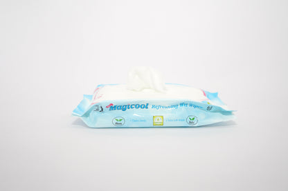 Comfort Traveler Kit